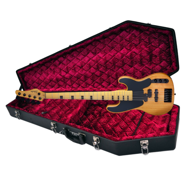 Schecter Model-T Session-5 Bass + Coffin B195R Case