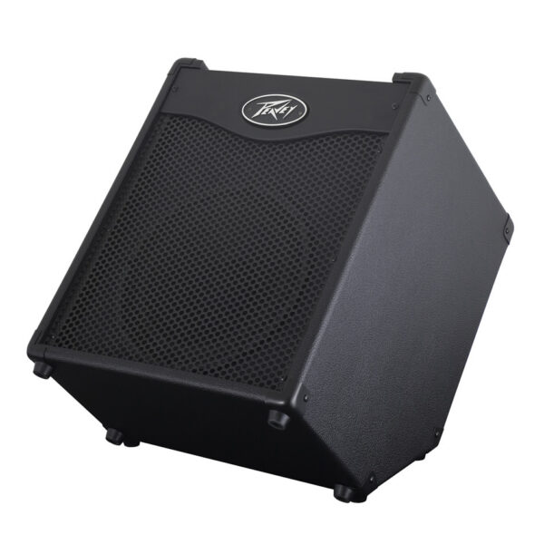 Peavey MAX 110 Bass Combo Amp - 100W, 10" Speaker