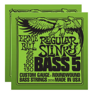 Ernie Ball Regular Slinky 5-String Bass Strings (2836) 2-Pack