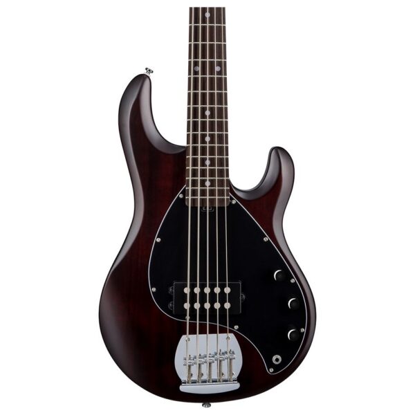 Sterling by Music Man Ray5 - 5-String, Walnut Satin, USED