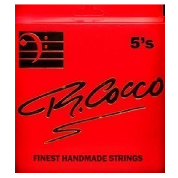 Richard Cocco RC5X Handmade Stainless 5-String Set 28-45-65-85-105