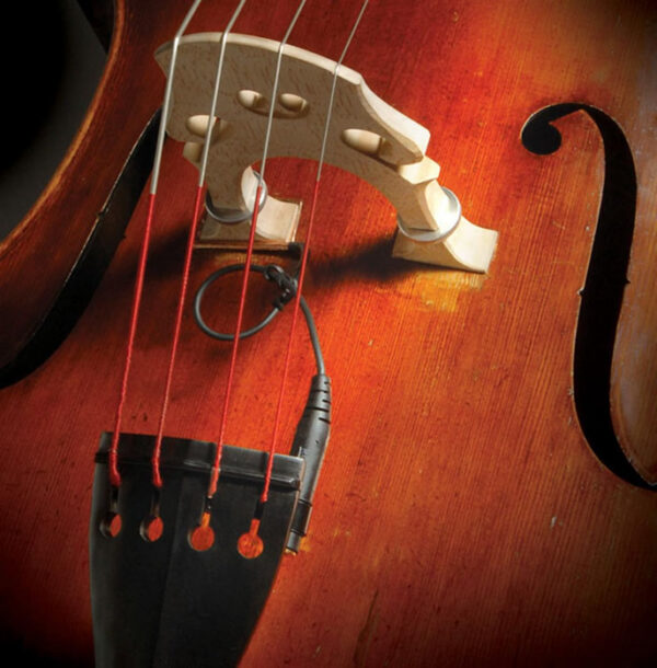 David Gage Realist RLSTSWB1 Bass Pickup, Wood Element